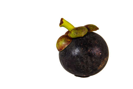 Mangosteen thick purple skin  of the queen of fruitsの写真素材