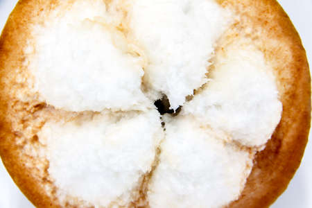 Santol fruit isolated on white backgroundの写真素材