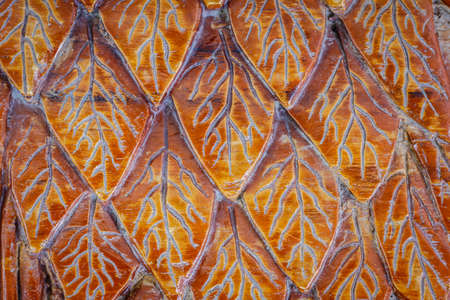 the wood carve of leaf textureの写真素材