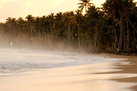 spoondrift by the sandbeach in the eveningの写真素材