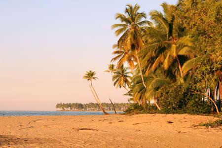 Beautiful sunset at the beach of caribbean