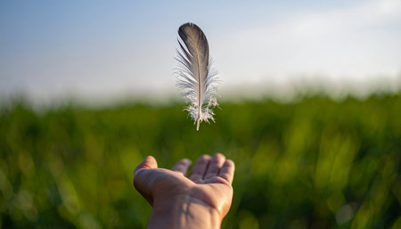 A close up of a single bird feather levitating above a human hand. The background is a blurred green meadow, evoking a sense of peace, freedom, and gentleness.の素材