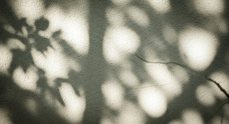 Blurry shadows of leaves and branches create a natural abstract pattern on a wall. The soft light and bokeh effect give a peaceful and tranquil feeling.の素材