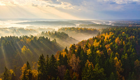 An aerial shot showcasing a colorful forest during autumn, with fog and sunlight creating a beautiful atmosphere.の素材
