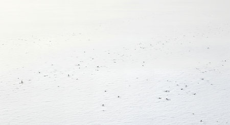 A clean and minimalist white background featuring subtle, scattered speckles and soft, diffused shadows, creating a textured yet understated aesthetic.の素材