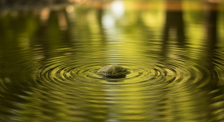 A stone dropped in water creates ripples, reflecting the surrounding trees and sky, a serene natural scene.の素材