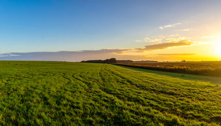 An expansive green field stretches towards a horizon bathed in the warm glow of a setting sun, with a clear blue sky above.の素材