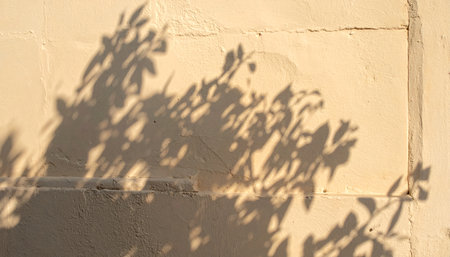 The shadows of leaves create an abstract pattern on a stone tiled surface, bathed in warm sunlight, creating a natural contrast.の素材
