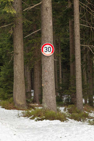 Speed limit signs in the winter woods on the treeの写真素材