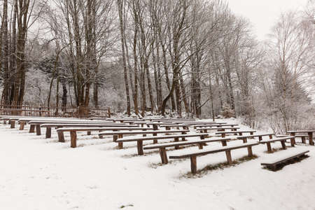 benches in the theater in the winter woodsの写真素材