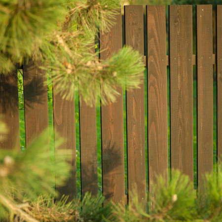 Wooden fence in the garden of a houseの写真素材