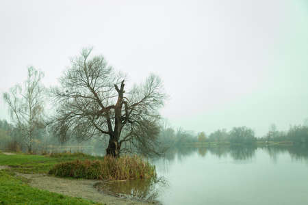 Autumn beauty in the natural lake in cloudy weatherの写真素材