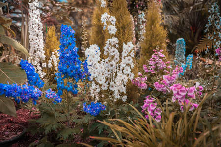 Magic floral garden glow in all colorsの写真素材