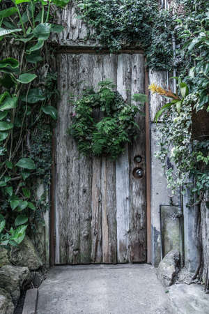 Wooden door in an old cottage in the forest covered with grassの写真素材
