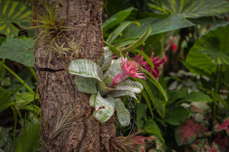 Magic floral garden glow in all colorsの写真素材