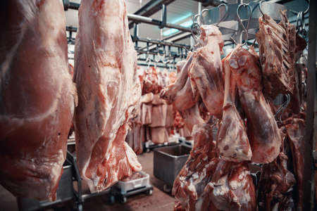 Production of meat products in the supermarket in the supermarket. Next, distribution of finished products to the stores shop for customers. Sausage, meatloaf, pate ...の写真素材