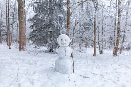 Winter scene in snowy park in a rest zone near a forest. Benches and snowmen, forest road