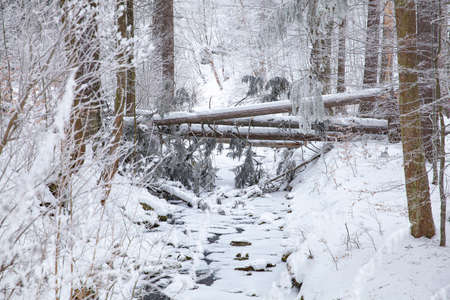 Winter scene in snowy park in a rest zone near a forest. Benches and snowmen, forest road