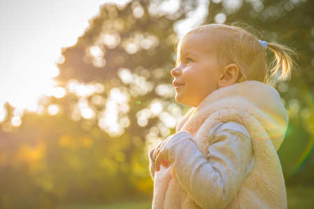 happy child with their dog black schnauzer enjoy play in autumn parkの写真素材