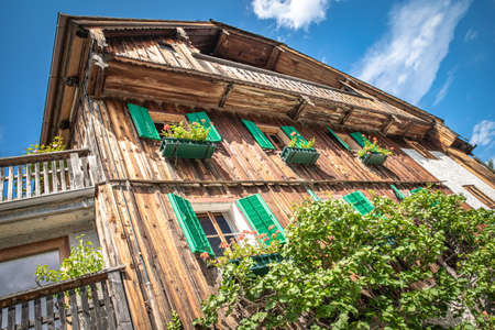 the wall of the house grew with plantsの写真素材