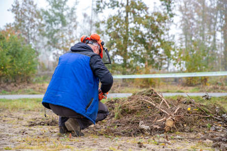 sawing a tree branch with a chainsaw while working in the forest.