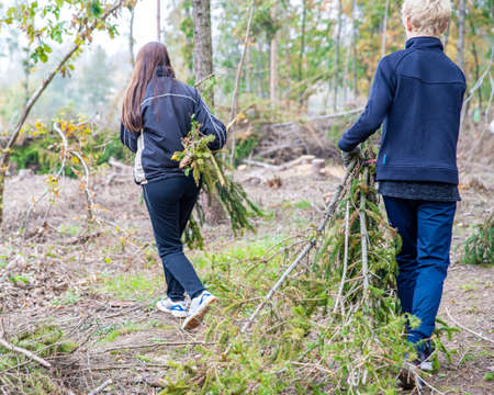 clean old tree branch in forest with volunteer helpの写真素材