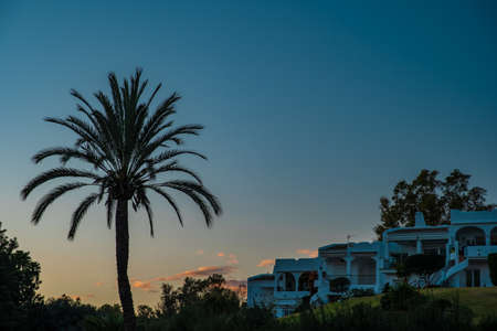 Tropical tourist resort with silhouette of palm trees and beautiful villas at sunsetの写真素材