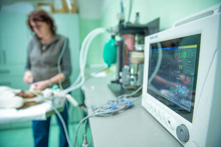 device measuring heart rate during surgery in veterinary clinic.の写真素材