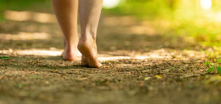 bare feet of a woman walking along a trail in the woods.の写真素材