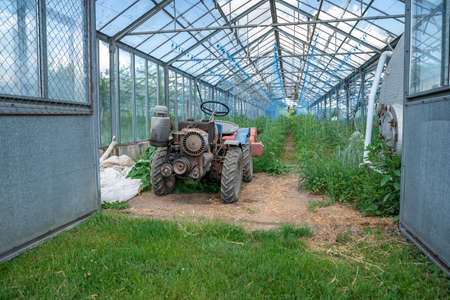 greenhouse on the farm for growing healthy vegetables without chemistry in organic qualityの写真素材