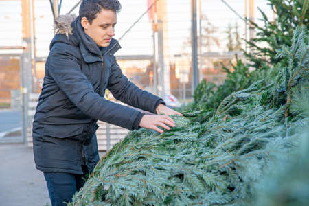 young man chooses a Christmas tree on the market