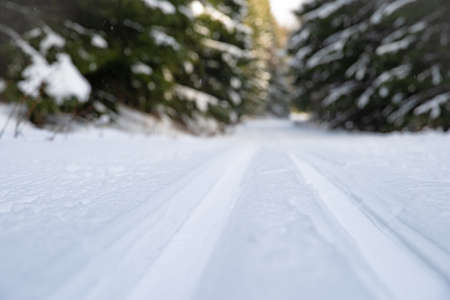 Footprints in the snow for cross-country skiing
