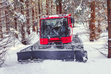 snowmobile to adjust the tracks for cross-country skiers in the winter forestの写真素材