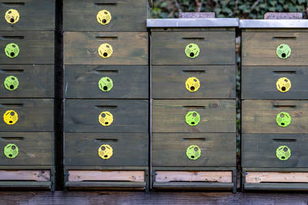 bee hive on a green meadow in natureの写真素材