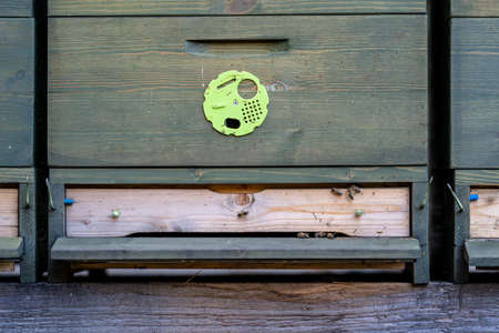 bee hive on a green meadow in natureの写真素材