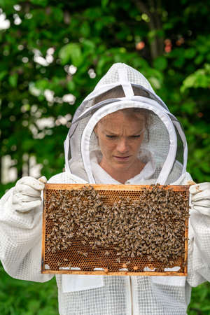 woman with a wax frame with bees in beekeepingの写真素材