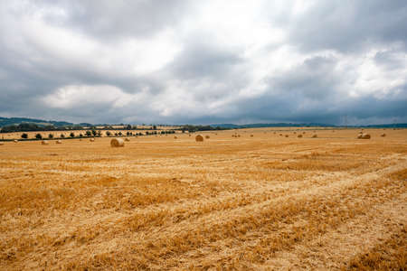 round bales of dry straw on agricultural landの写真素材