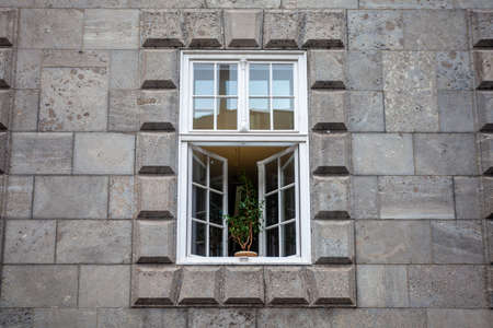 window with a flower in the state castleの写真素材