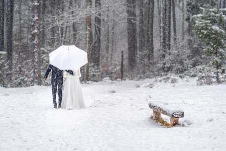 wedding couple in winter snowy forest, winter weddingの写真素材