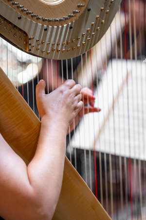 harp on symphony orchestra stage, detail of hands with stringsの写真素材