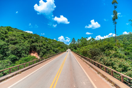 asphalt road in Brazilian nature in South Americaの写真素材