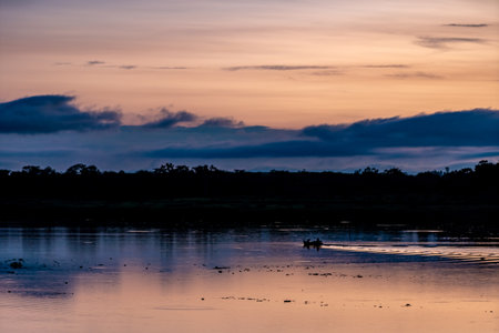 colorful sunrise over the lake in natureの写真素材