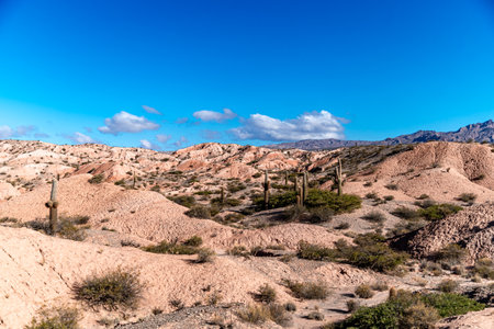 mountain landscape with cacti in south america