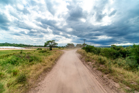road for cars in beautiful natureの写真素材