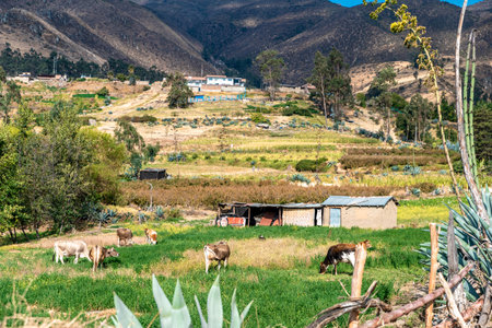 house in the Peruvian Andes of South Americaの写真素材