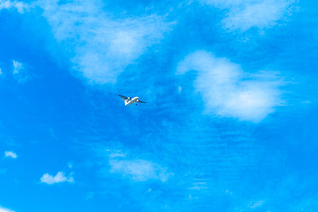 landing plane on blue sky with clouds