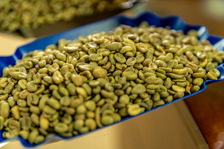 green coffee beans in boxの写真素材