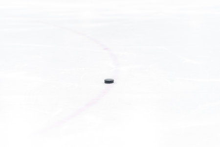 hockey puck on the ice of the winter stadium