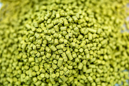 granulated hops for beer production. brewing beer in a breweryの写真素材