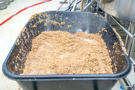 malt for brewing beer in a brewery